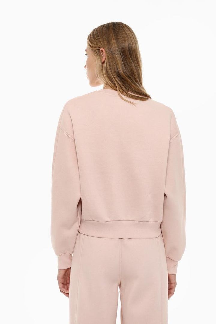 Back view of a women's pink basic cropped sweatshirt, featuring a simple design with a relaxed fit and cropped length.