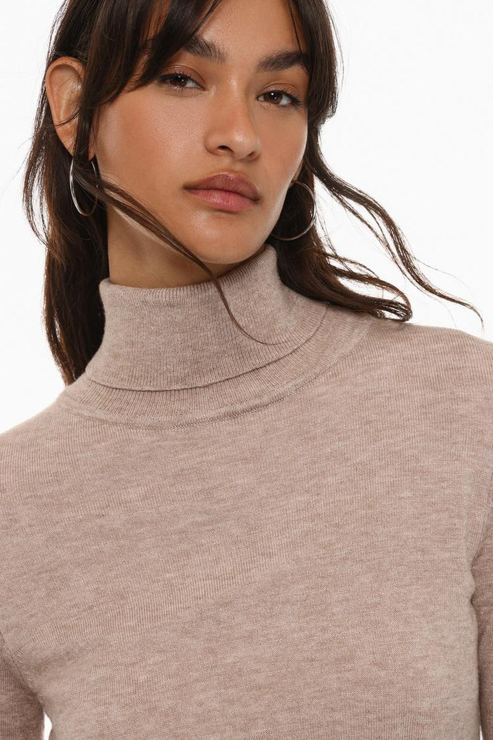 BASIC TURTLENECK SWEATER